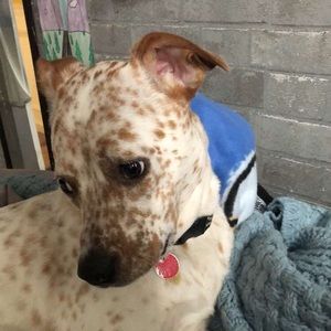 Meet your Posher, Jake